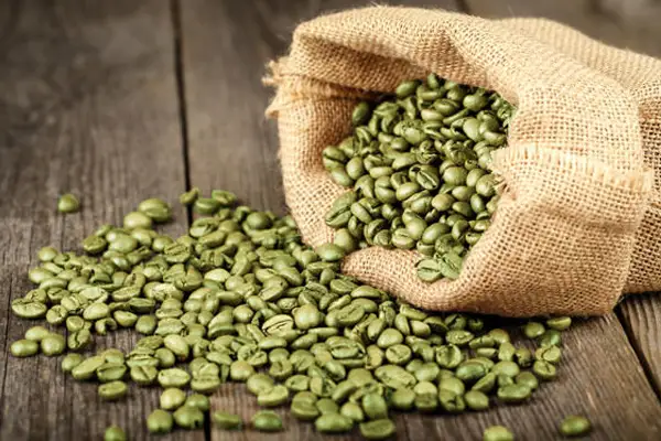 green coffee extract-45 manufacturer