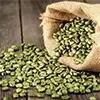  Green Coffee Extract 45% Manufacturer