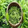 Green Tea Extract 95% Manufacturer