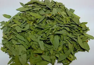 Senna Extract Manufacturer In India